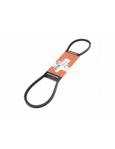 CORREA ALTERNADOR (ALTERNATIVA 1A1125)